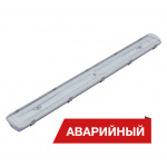 Diora LPO/LSP SE 50/6700 прозрачный А — изображение 7