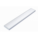 Diora NPO IP65 19/2200 opal
