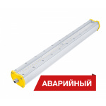Diora Piton 2Ex 40/5400 Д прозрачный А — изображение 3