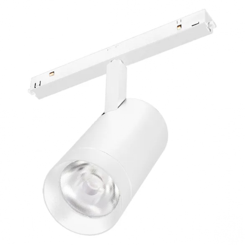 Светильник MAG-ORIENT-SPOT-R65-20W Day4000 (WH, 24 deg, 48V, DALI) (Arlight, IP20 Металл, 5 лет) — изображение 1
