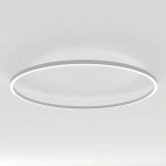 Светильник SP-LINE-HANG-ARC-O3535-D1500-124W Day4000 (WHITE, 230V) (Arlight, Металл)