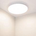 Светильник CL-FRISBEE-DIM-R380-25W Day4000-MIX (WH, 180 deg, 230V) (Arlight, IP54 Пластик, 3 года) — изображение 4
