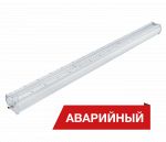 Diora Piton 80/9700 Д прозрачный А