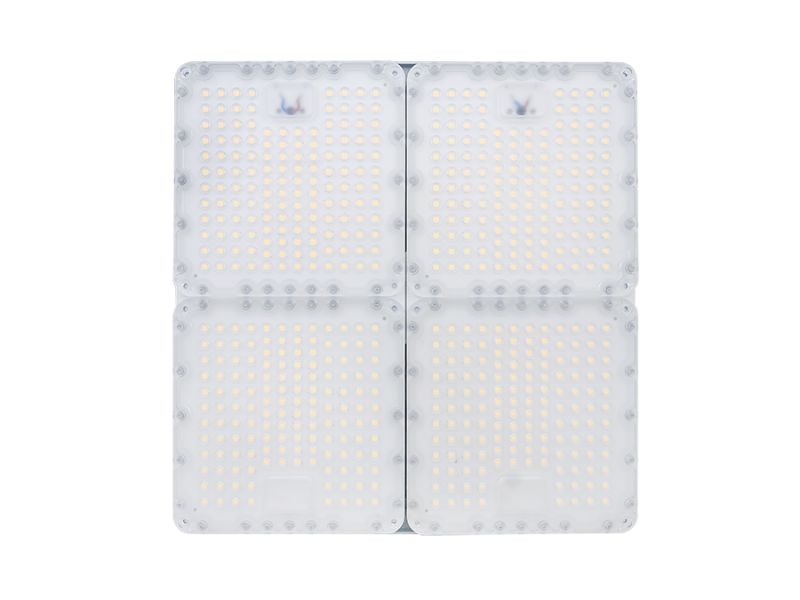Diora Quadro 135/20000 К25 лира А — изображение 2
