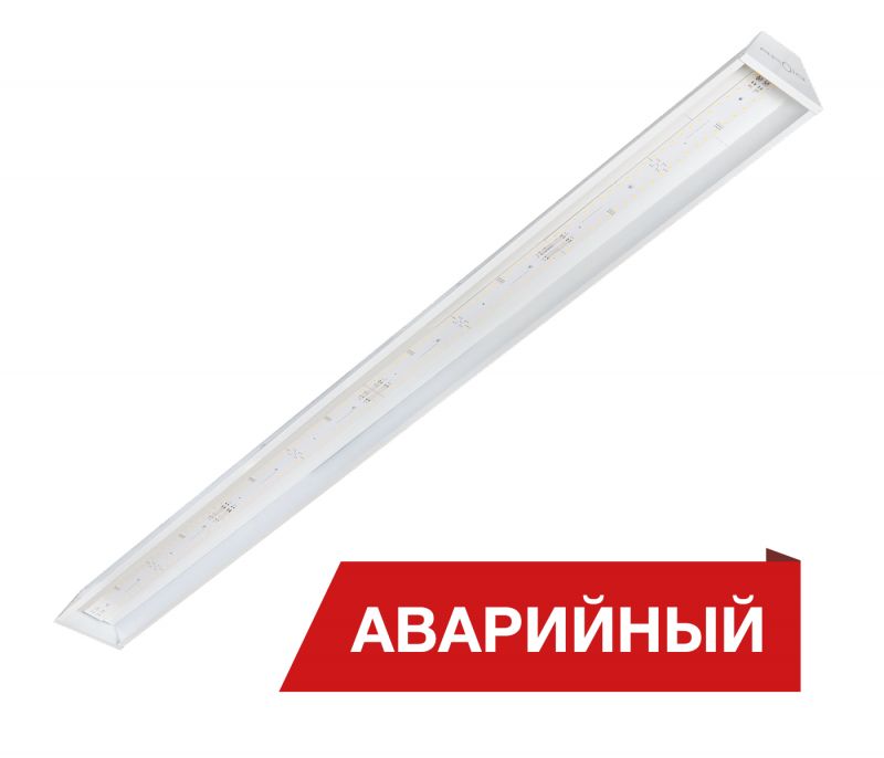 Diora R-tail 44/6800-1500 А — изображение 1