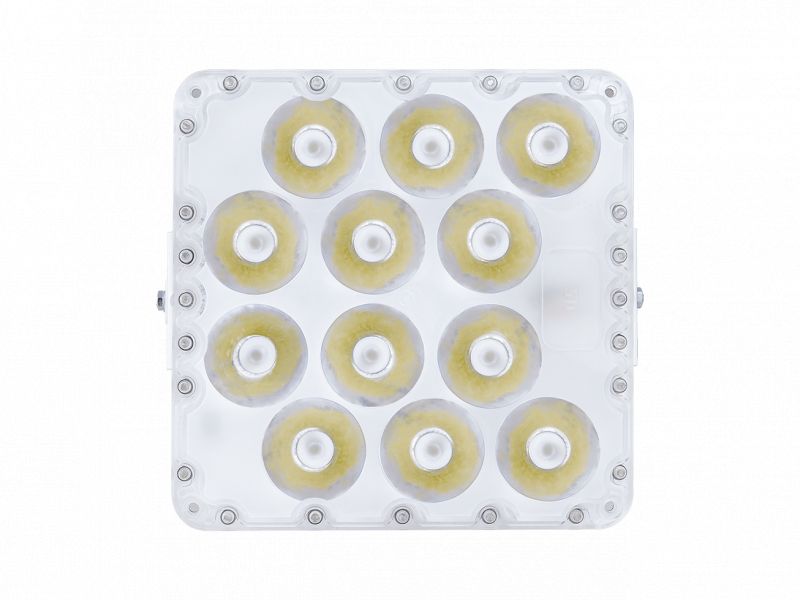Diora Quadro 25/3600 K7 лира — изображение 3