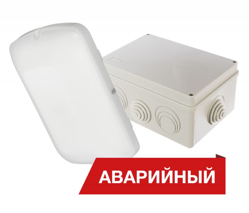 Diora Луна Eco Box 20/2000 Avto L А Ra90 — изображение 1