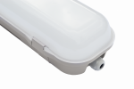 Diora LPO/LSP SE 42/5300 opal 4K A — изображение 3