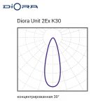 Diora Unit2 2Ex 340/54000 К30 3K консоль