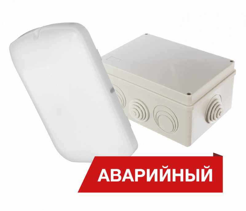 Diora Луна Eco Box 25/2900 Avto L 4K А — изображение 1